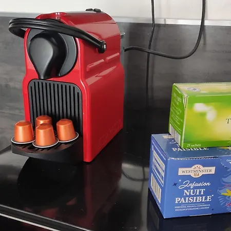 Coeur De Fontainebleau: Confort, Calme & Debit *